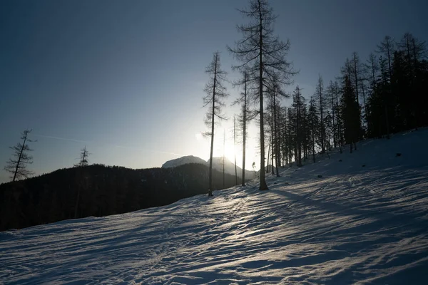 早朝の日差しの中の雪の斜面 — ストック写真