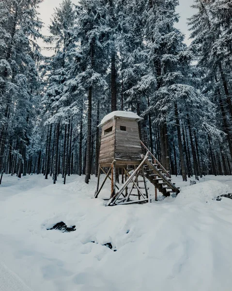 Observatorio Cazadores Profundo Bosque Nevado — Foto de Stock