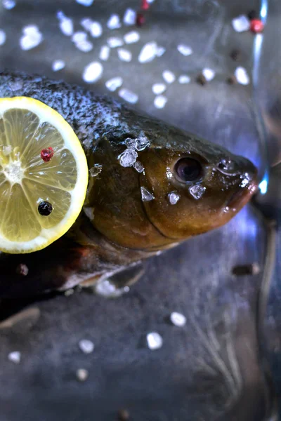 생선을 막으라 — 스톡 사진