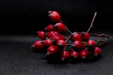 Siyah arkaplanda kırmızı gül kalçaları