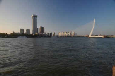 Rotterdam şehrinin manzarası