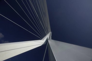 Rotterdam 'ın merkezindeki Erasmus Köprüsü.