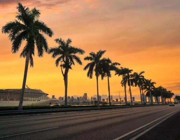 Vista Panorâmica Pôr Sol Miami Florida Palmas — Fotografia de Stock