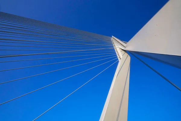 Puente Erasmus Centro Rotterdam — Foto de Stock