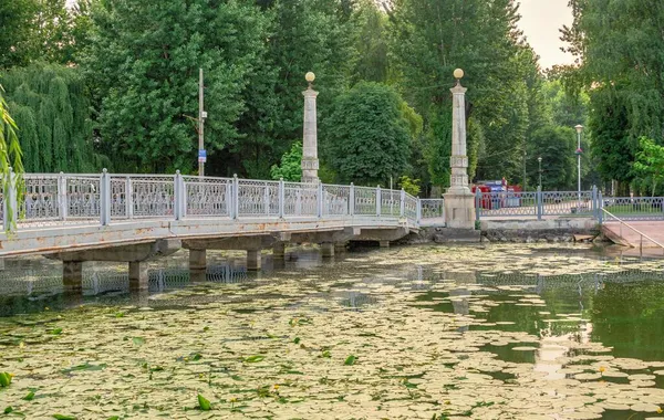 Ternopil ウクライナ06 2021 夏の朝にウクライナのTernopil池の堤防 — ストック写真