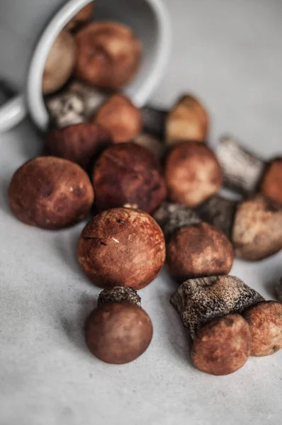 Oranjekop Boletus Metalen Mok Close — Stockfoto