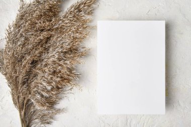 Beyaz davetiye modeli ve boho dekorasyonu: pampas otu, doğal çevre dostu dekor, 5x7 oranı, A6, A5, üst görünüm