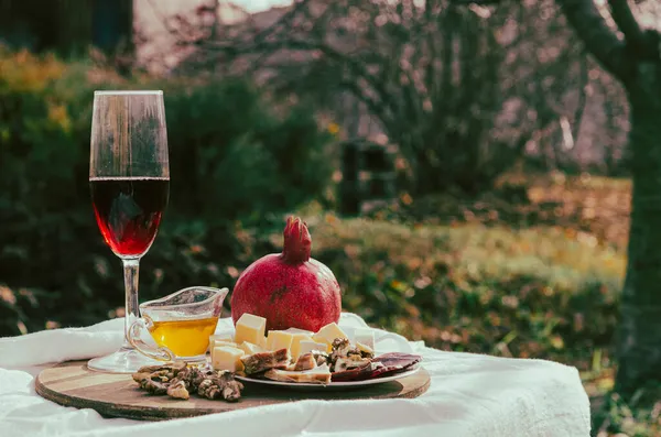 Doğada Şarap Atıştırmalıklarla Piknik — Stok fotoğraf