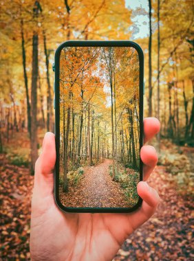 Güz ormanı sahnesiyle el ele tutuşan cep telefonunu kapat..