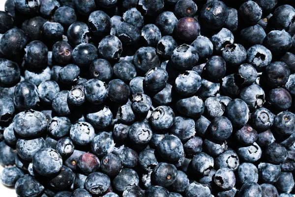 Closeup View Many Blueberries Together — Stock Photo, Image