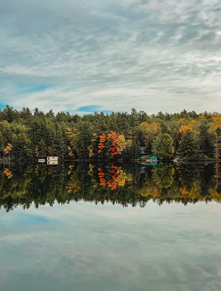 Bäume Seeufer Spiegeln Sich Einem Herbsttag Ruhigem Wasser — Stockfoto
