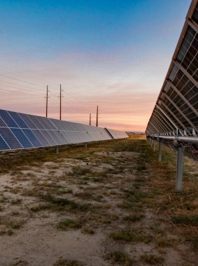 Orta Kaliforniya 'da güneş çiftliği