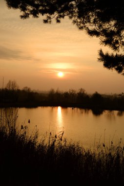Sisteki ağaçların ve ırmağın arka planında sonbahar günbatımı