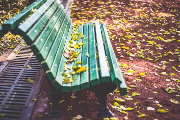 Autumnal Vake Park Тбілісі — стокове фото