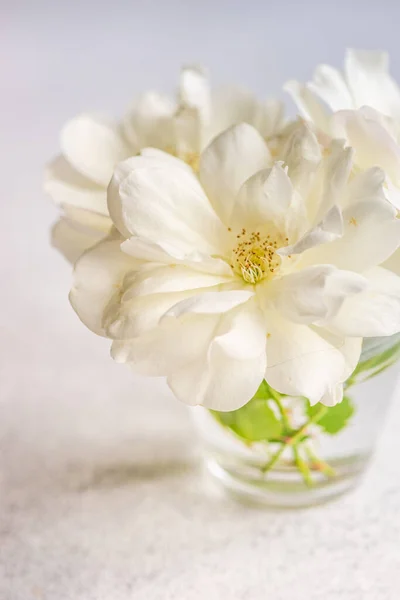 Bloeiende Witte Roos Bloemen Boeket — Stockfoto