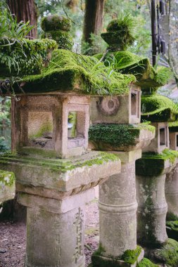 Japonya, Nara 'daki bir tapınakta geleneksel Taş Fenerler