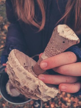 Kızın elinde taze kesilmiş mantar şemsiyesi çeşitleri var.