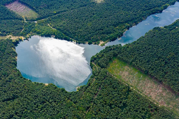 Vista Aérea Lago Floresta Selvagem Verão Pequeno Lago Azul Floresta — Fotografia de Stock