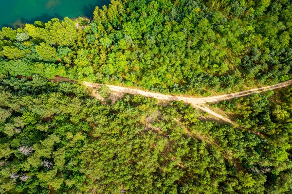 Luftaufnahme Einer Landstraße Die Durch Den Grünen Wald Führt — Stockfoto