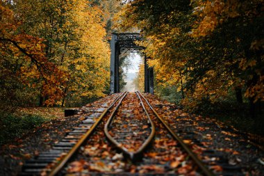 Parlak Sonbahar Renkleri Sırasındaki Demiryolu Köprüsü