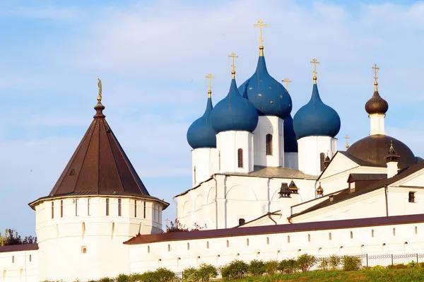 Вид Монастырь Горе Серпухове Россия — стоковое фото