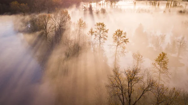 Солнечный Осенний Цвет Время Туманного Утра Вашингтоне — стоковое фото