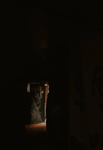 Μια Μοναχική Πόρτα Μια Σαύρα Βαμμένη Πάνω Της Στη Νέα — Φωτογραφία Αρχείου
