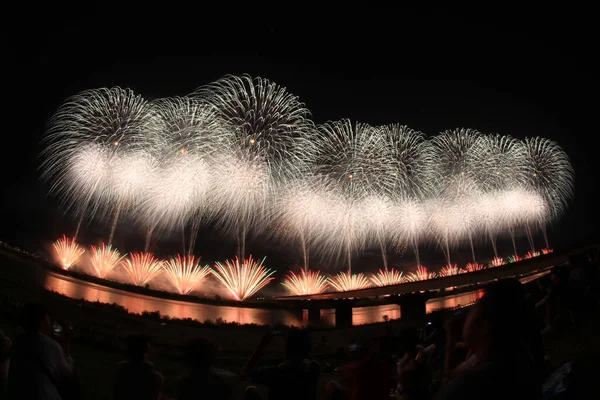 Fuegos Artificiales Cielo Nocturno — Foto de Stock