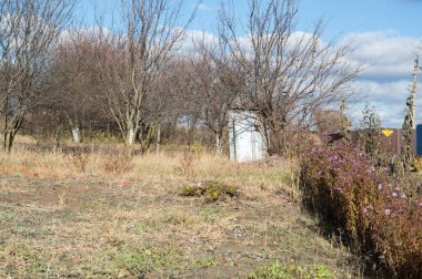 Sonbahar bahçesi ve temiz bir sebze bahçesi. Güneşli bir günde çıplak ağaçlar ve çiçek çalıları arasında eski bir kulübe.