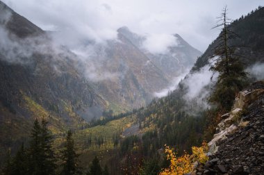 Kuzey şelalelerinde yanan ağaçların dramatik vadisi