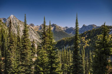 Sonsuza dek yeşil ve karaçam ağaçlarının güzel dağ manzarası