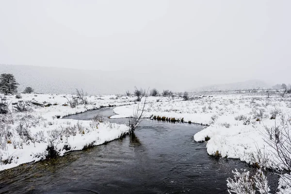 Χειμερινό Ρεύμα Στο Εθνικό Πάρκο Rocky Mountain — Φωτογραφία Αρχείου