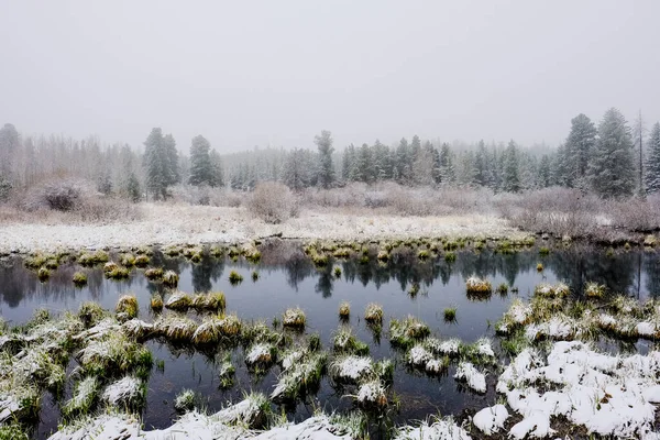 Paysage Hivernal Parc National Des Rocheuses — Photo