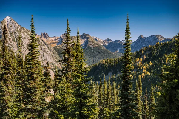 Beautiful Mountain Peaks Evergreen Trees — Fotografia de Stock
