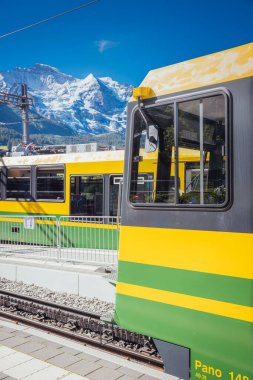 eiger yeşil ve sarı trenler