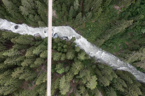 Hängebrücke Über Wald Aus Der Luft — Stockfoto