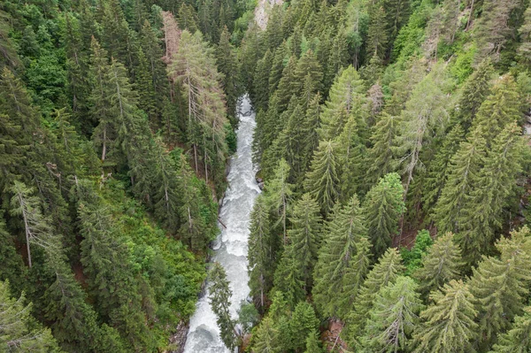 Wald Und Fluss Aus Der Luft — Stockfoto