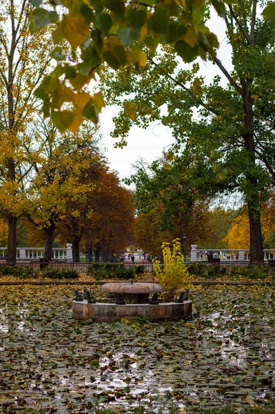 Schöne Wasserfontäne Farbenfroher Herbstzeit Mit Blättern Bedeckt — Stockfoto