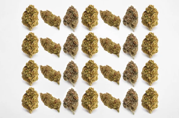 Medicinsk Cannabis Vit Bakgrund Vacker Blomma Marijuana — Stockfoto