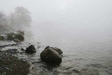 Gri sisli bir günde Ontario Gölü 'nün Rocky plajı.