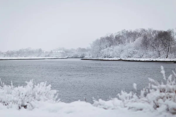 氷の木に囲まれた雪の日に湖の水平撮影 — ストック写真