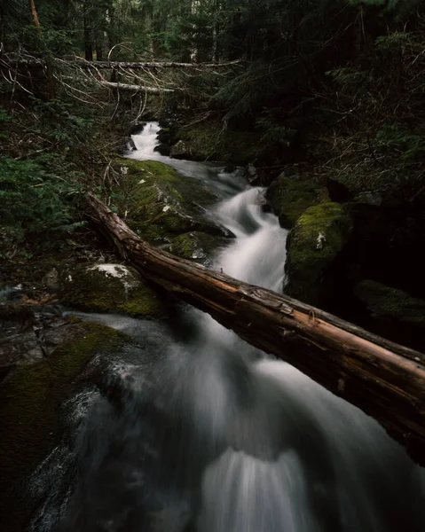 Wasserfall Summit Lake Washington — Stockfoto