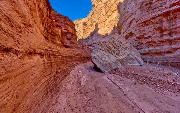 Upper Cathedral Wash Glen Canyon Recreation Area Arizona Path Leads — 图库照片
