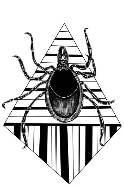 Tick Insect Black Ink Illustration — Stock fotografie