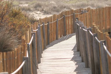 Kum tepelerinin arasında sahil yürüyüşü