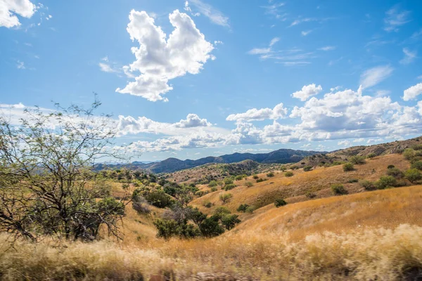 Paisagem Épica Enquanto Passeia Pela Pastagem — Fotografia de Stock