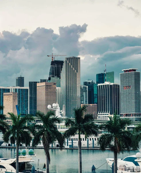 Miami Florida Views Downtown City — Stockfoto