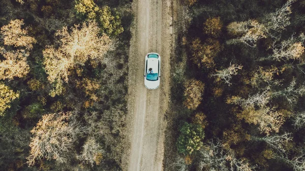 Ağaçlarla çevrili bir yolda drone görüntüsü