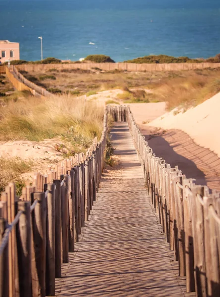 Boardwalk Sand Dunes — 图库照片