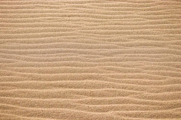 Textura Areia Deserto Duna Areia Deserto — Fotografia de Stock